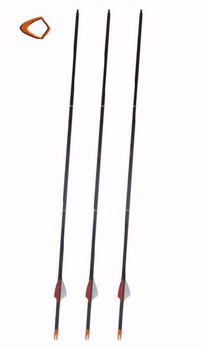 3 Piece Take Down Arrows (3-Pack)